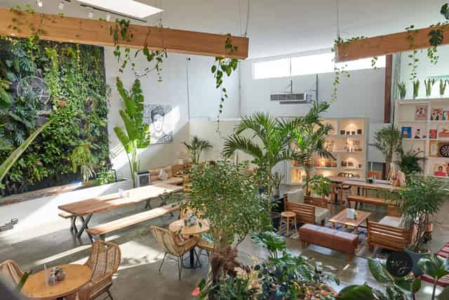 Art cafe