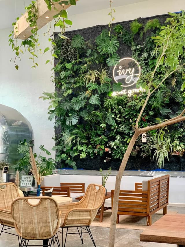 Outdoor Garden