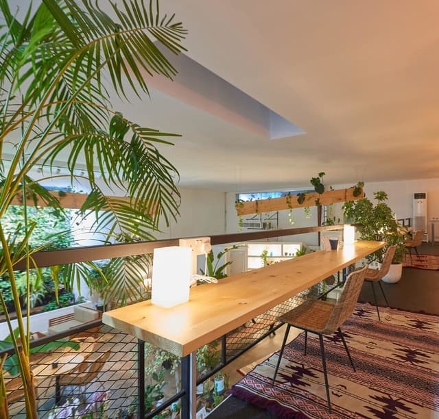 Outdoor Garden