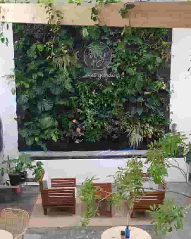Outdoor Garden