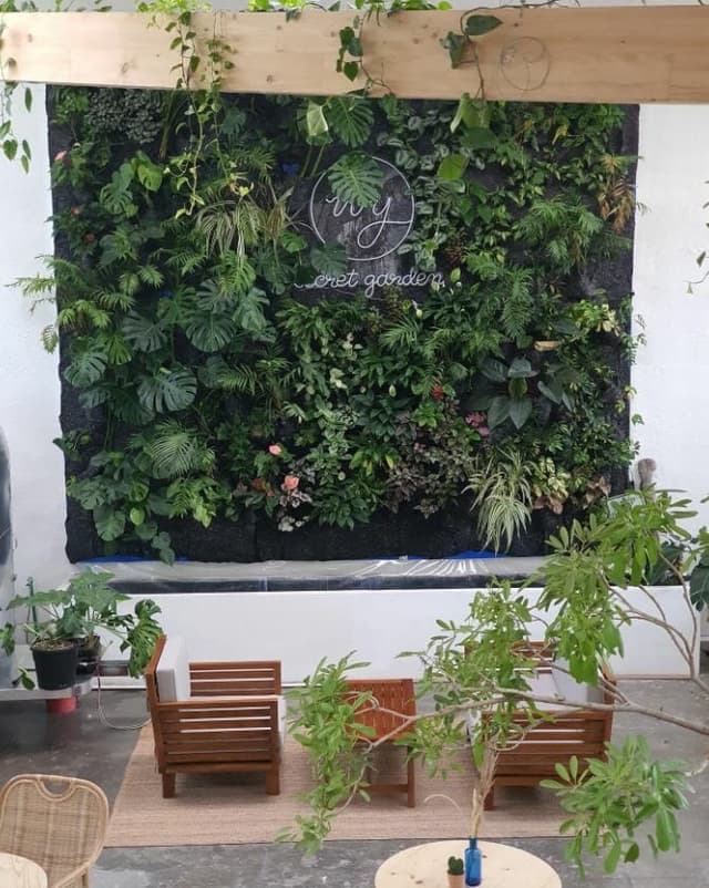 Outdoor Garden