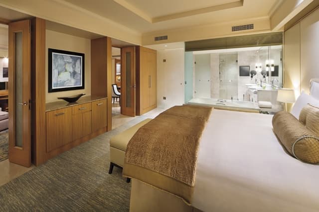 The Ritz-Carlton +1 more