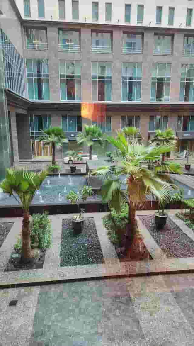 Pool Terrace