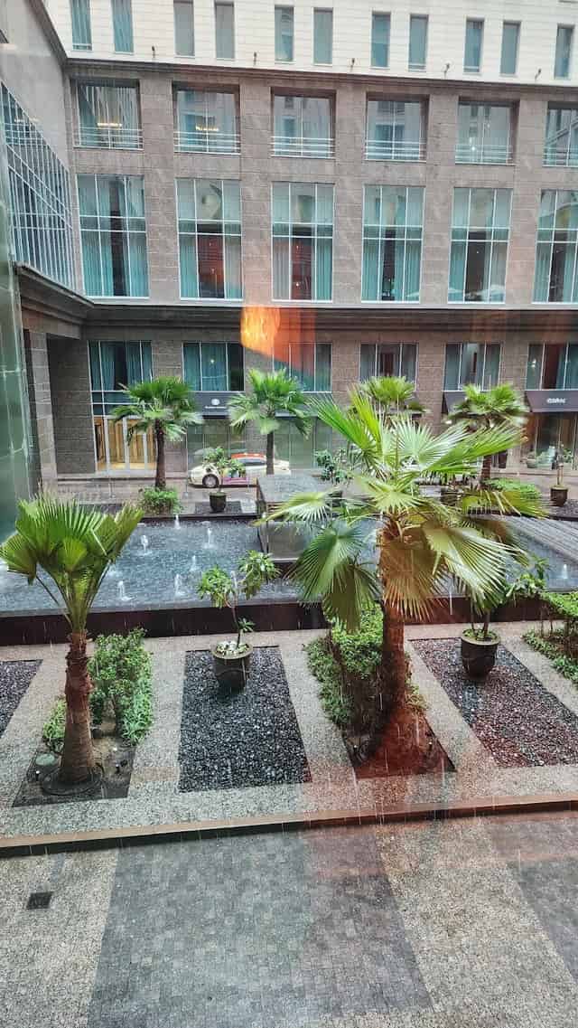 Pool Terrace