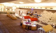 Christmas Party Venues
