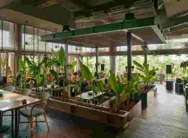 Social Garden