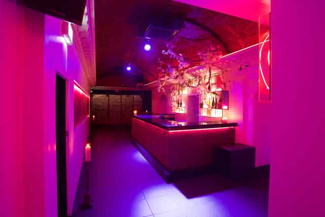 Whole Venue