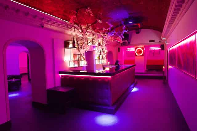 Whole Venue