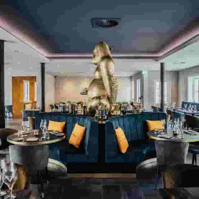 Chef’s Table