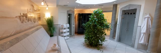 Wellness & Spa