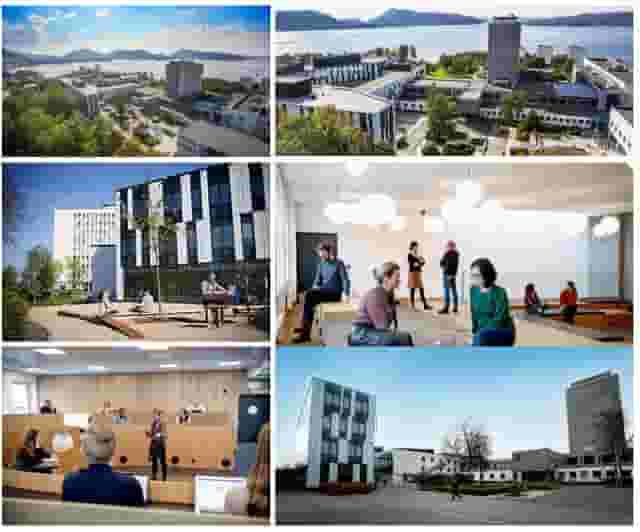 Faculty Seminars