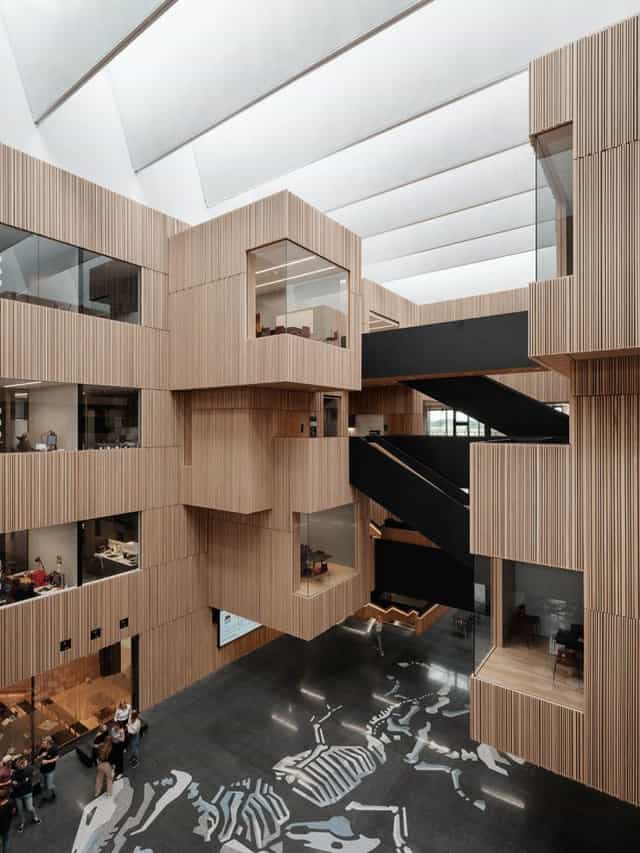Equine vet hospital atrium, wood, light, event