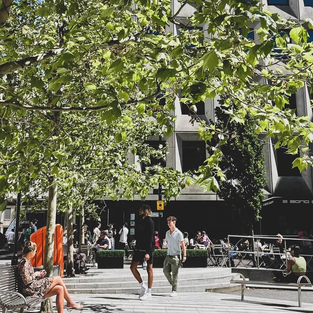 Natural seating area