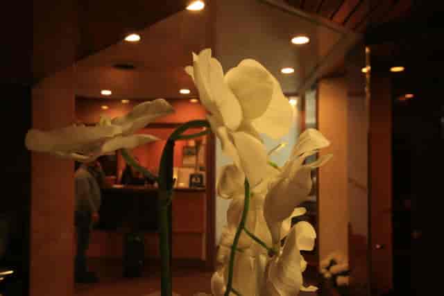 Hotel Lido floral lobby, elegant event check-in