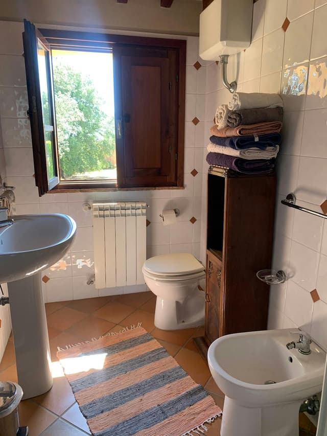 Prugna panoramico