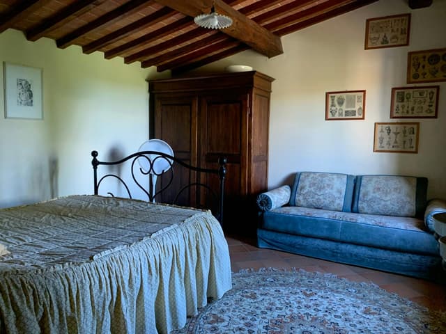 Prugna panoramico