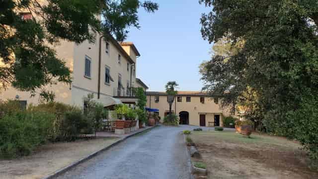 Prugna panoramico