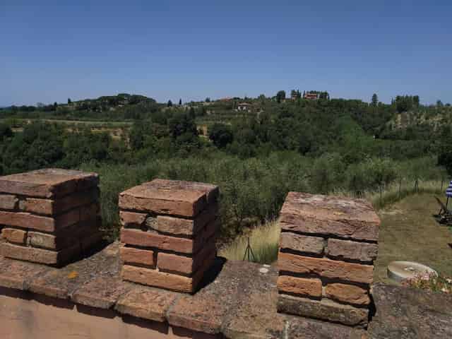 Prugna panoramico