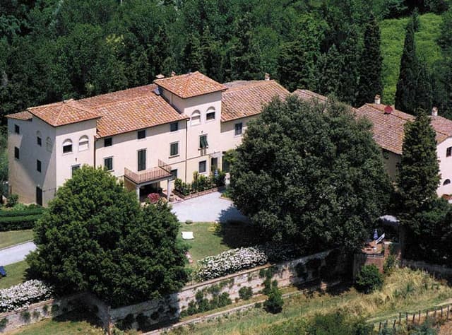 Prugna panoramico