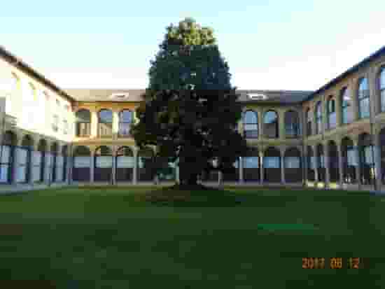 Chiostro della Magnolia