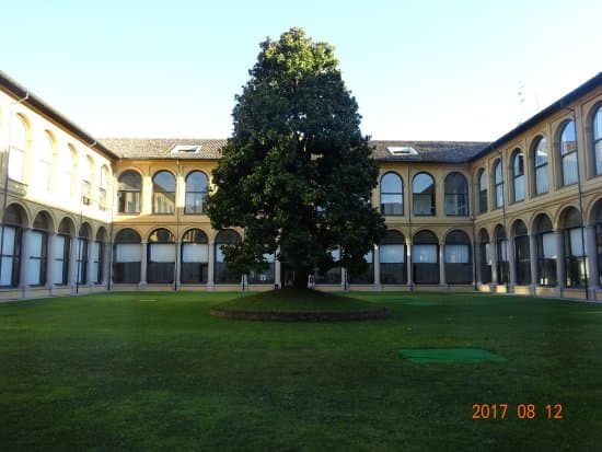 Chiostro della Magnolia