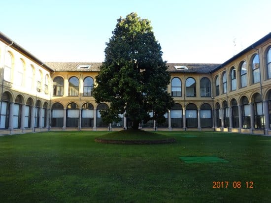 Courtyard venue, outdoor dining, event space