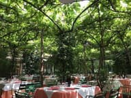Outdoor Terraces