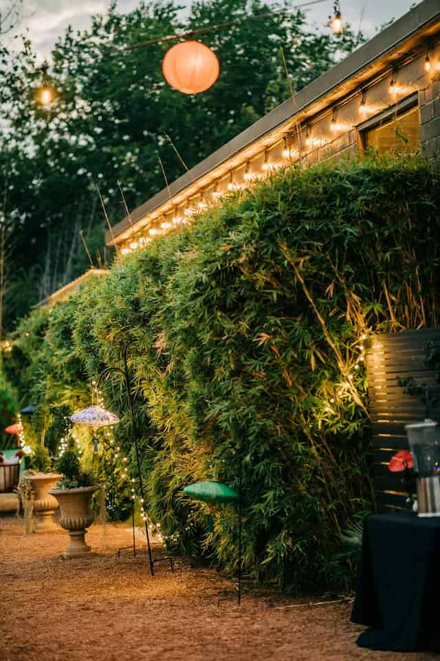 Outdoor courtyard