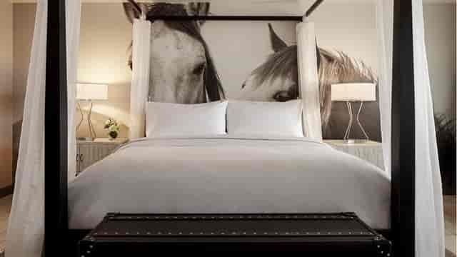 Luxury hotel suite, horse art, Austin event space
