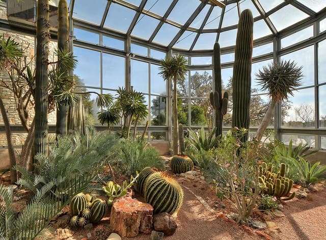 Desert Greenhouse