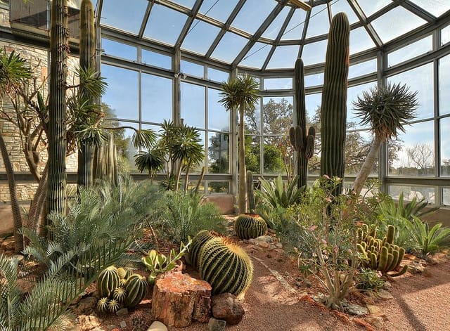 Desert Greenhouse Driftwood Event Botanical