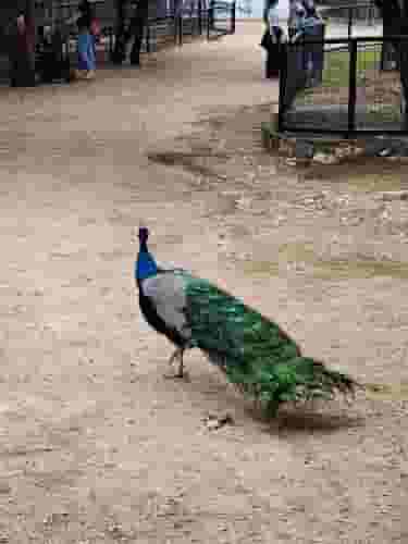Zoo grounds