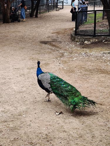 Zoo grounds
