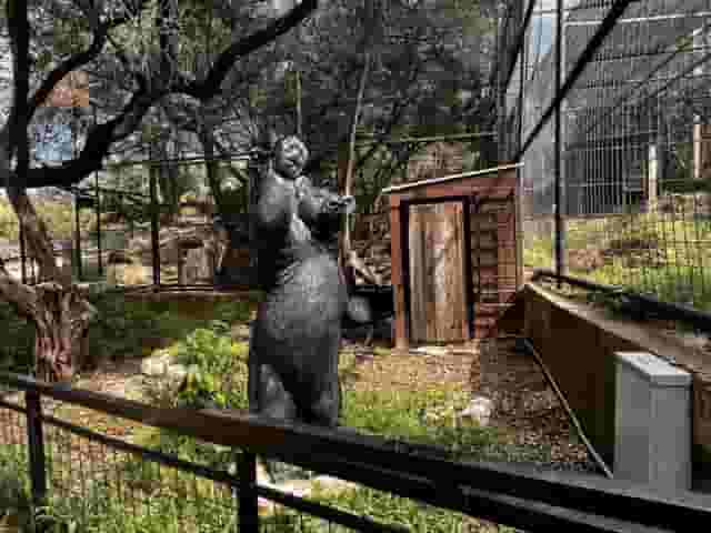Zoo grounds