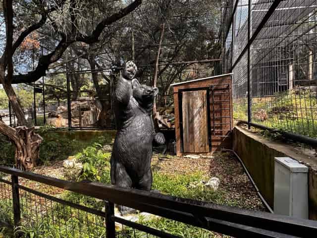 Zoo grounds