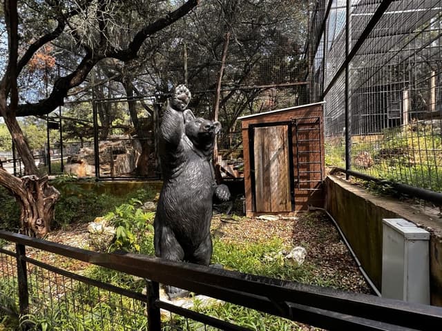 Zoo grounds