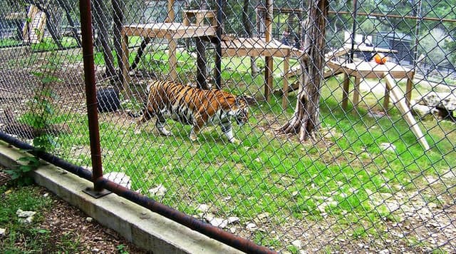 Primate Pavilion