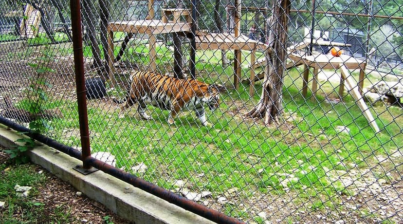 Primate Pavilion Austin Zoo event rental