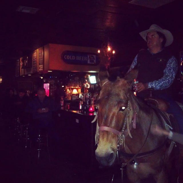 White Horse Main Event: Unique themed party, risk management.