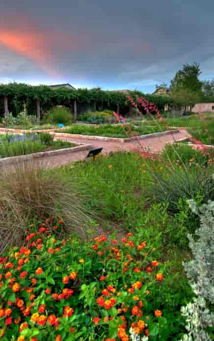 Lady Bird Johnson Wildflower Center garden reception wedding tour