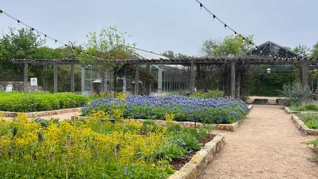 Botanical garden event, wildflowers, wedding venue