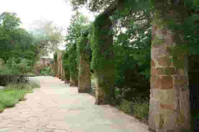 Cecille's Arch
