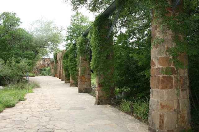 Cecille's Arch
