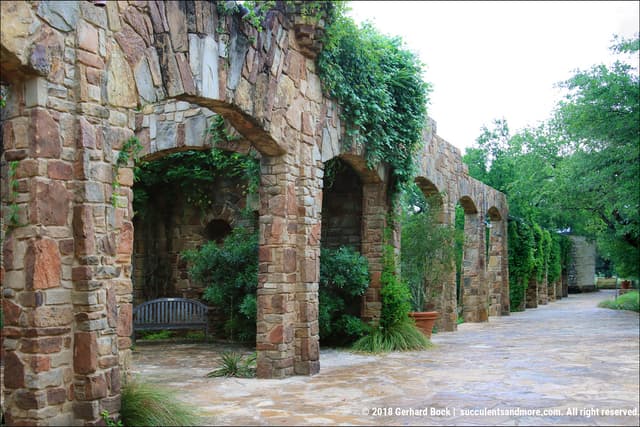 Cecille's Arch