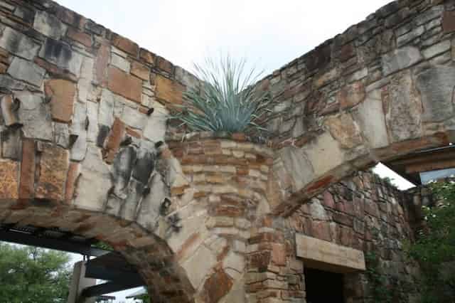 Cecille's Arch
