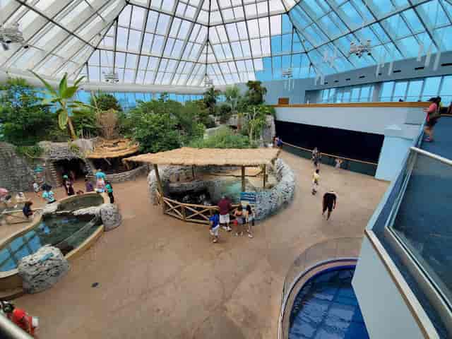 Texas Aquarium Living Shores event venue