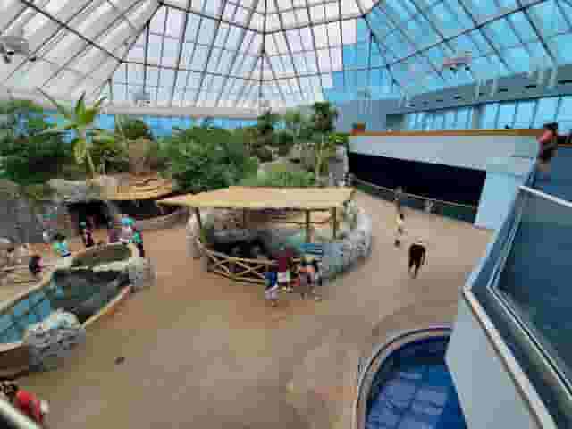 H-E-B Caribbean Shark Exhibit