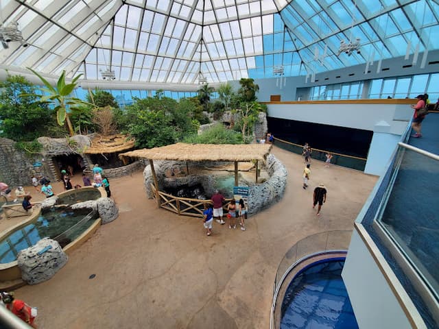 Dolphin Bay Underwater Room