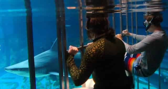 Gulf of Mexico Experience