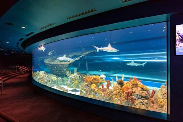Texas Aquarium Gulf event, corporate reception